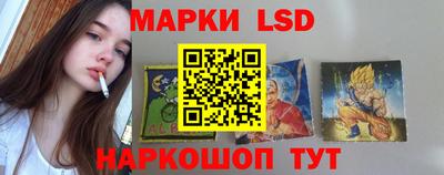 Альфа ПВП Кандалакша