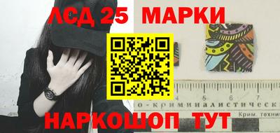 Альфа ПВП Кандалакша