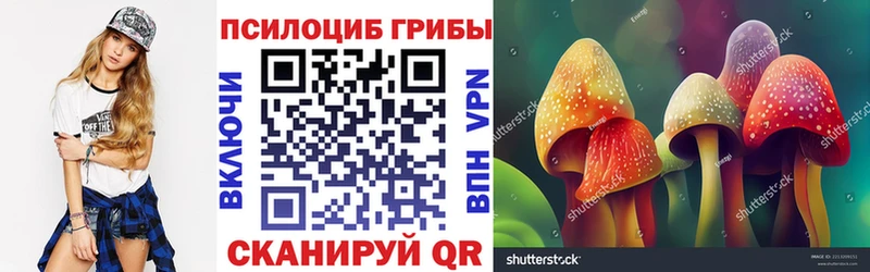 mega вход  Строитель  Галлюциногенные грибы ЛСД  закладки 
