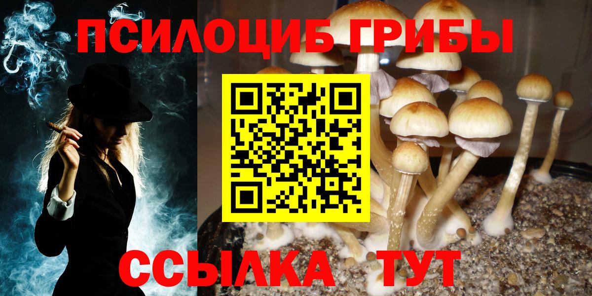 Галлюциногенные грибы мухоморы Строитель