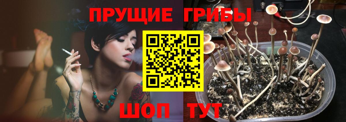 Галлюциногенные грибы мицелий  Вход с VPN  Галлюциногенные грибы Magic Shrooms  Строитель 